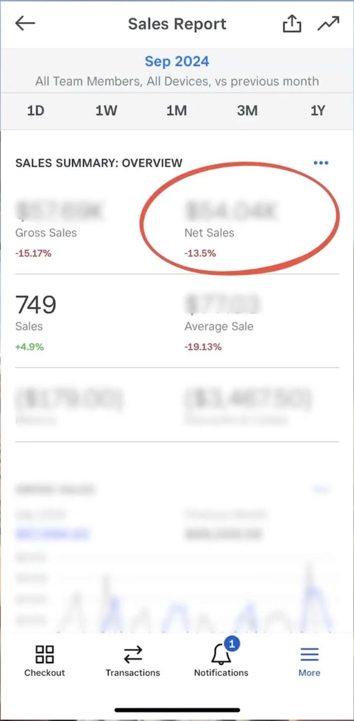 Sales Report — September 2024: –13.5% revenue decline