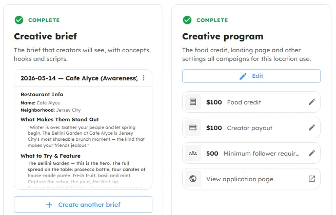 Remy creative brief and program settings